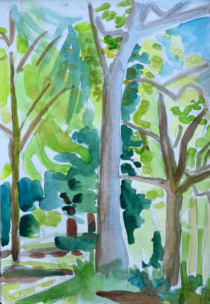 Jardin des plantes après midi d’été
